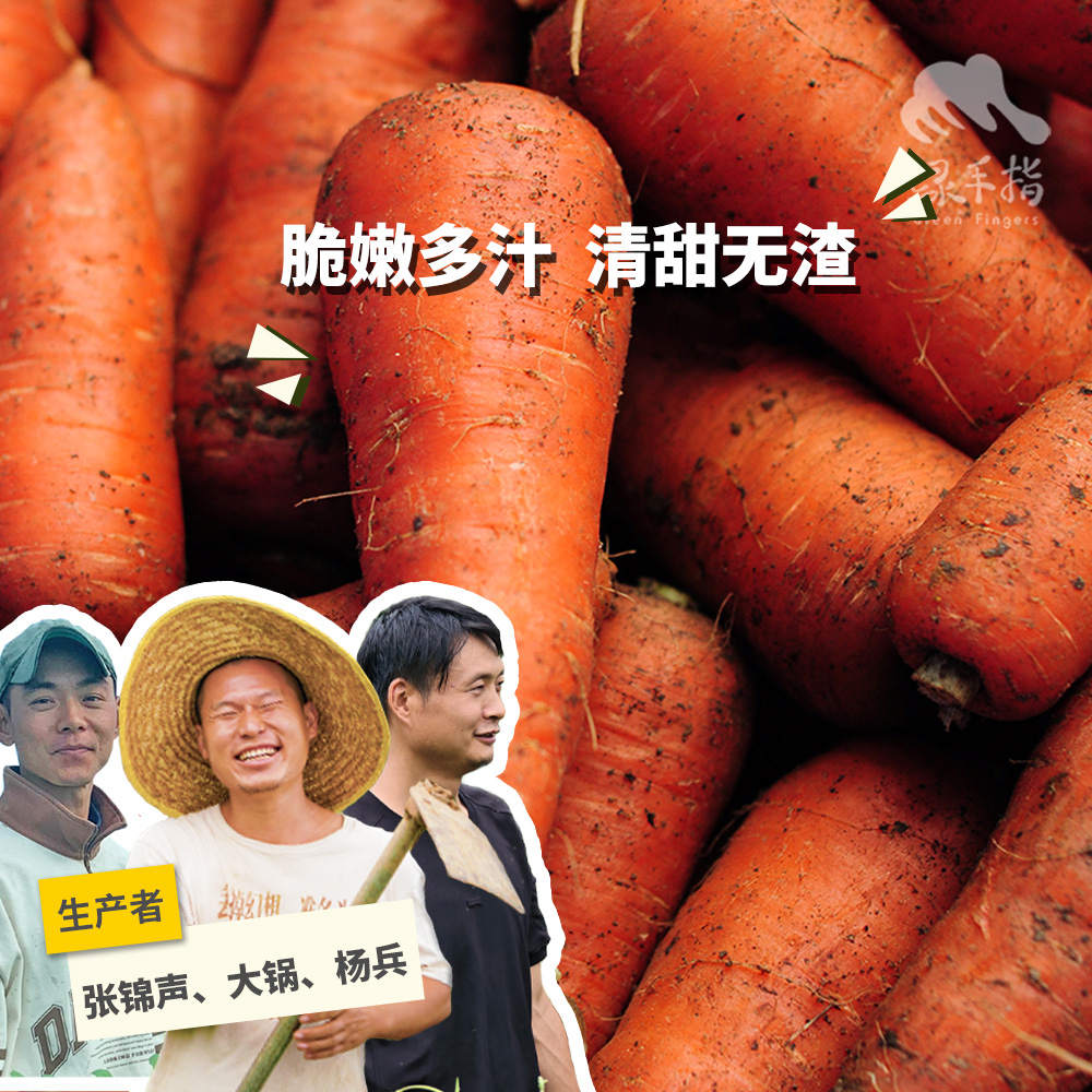 生态胡萝卜 | 绿家自产* ecological carrot | Self-production