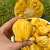 【越南黄肉菠萝蜜】果肉浅黄 鲜亮诱人 肉质细腻 香甜如蜜 果肉硕大 4种规格任选 商品缩略图2