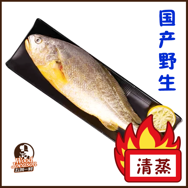 [野生鳇龙鱼] 600g*1条装 国产野生 清蒸/家焖/红烧