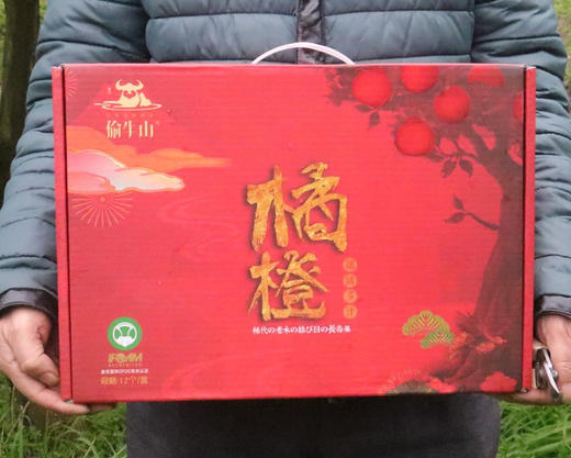 偷牛山有机红美人果冻橙 商品图0