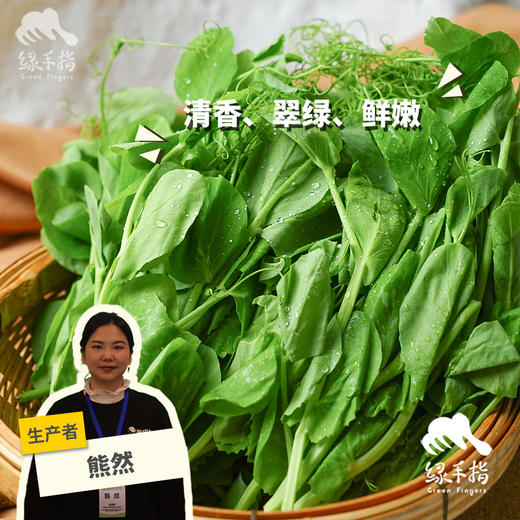 生态豌豆尖（预售，预计一周左右发）| 合作生产*Ecological pea tips| Partner Production 商品图0