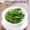 素言茶坊~茗茶物语清香型铁观音260克 商品缩略图3