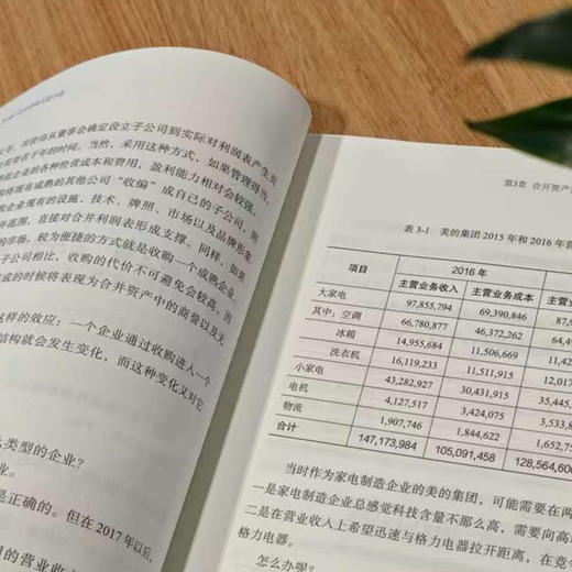 四维读财报：看懂中国公司 商品图2