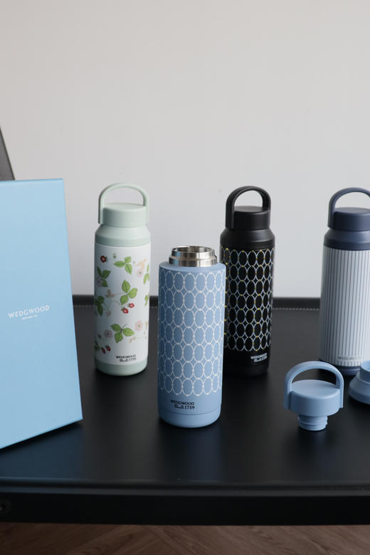 元单库存 维斯5德 316不锈钢手提随行保温杯（500ml） PJ049 商品图5