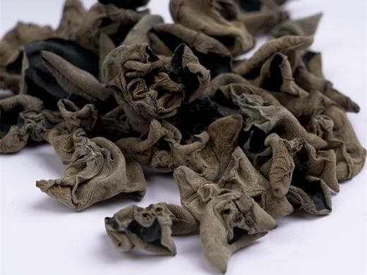 *养生季*信洲有机菌/有机银耳/香菇/木耳/茶树菇/鸡腿菇/猴头菇（欧盟/中国双认证） 商品图2