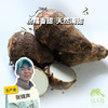 生态小芋头（红芽芋） | 绿家自产 * Ecological taro | In-House Production 商品缩略图0