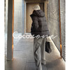 COCO ZONE 刘 一一 “五宫格”95白鹅绒连帽鹅绒服 CD2A3143 商品缩略图0