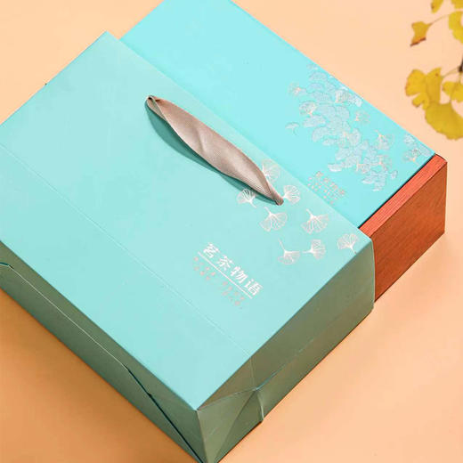 素言茶坊~茗茶物语清香型铁观音260克 商品图2