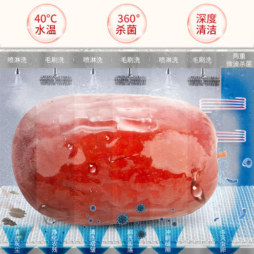 【节日礼盒】好想你 枣有心意（一级免洗红枣）805g 商品图2