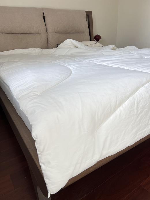 日单MU&JI抗菌除螨恒温纤维被 商品图12