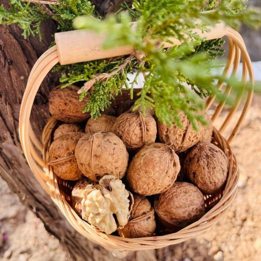 云南老树有机核桃 3斤礼盒装   A-5584 商品图13