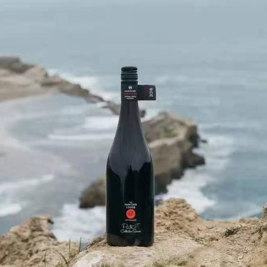 琅廷酿酒师收藏款黑皮诺红葡萄酒2018年 商品图0