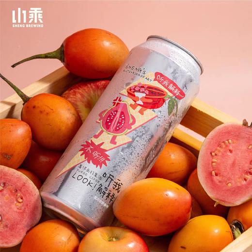 山乘 听我解释 500ml 商品图0