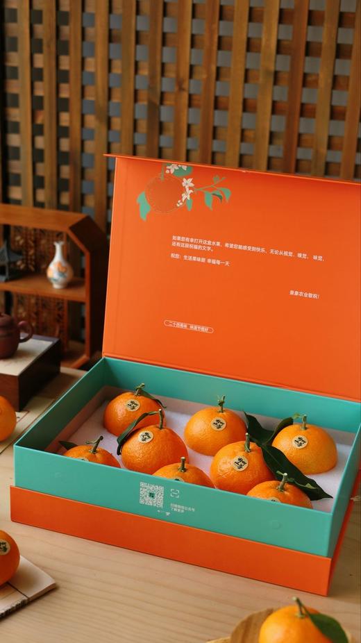 象山红美人 商品图3