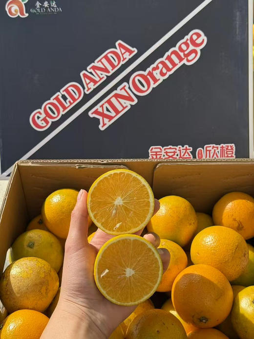 预定团19.8元一件云南冰糖橙净重约9斤（12.1-12.2提货） 商品图0