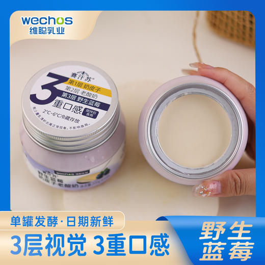 内蒙维聪  野生蓝莓奶皮子老酸奶 200g*8罐 商品图1