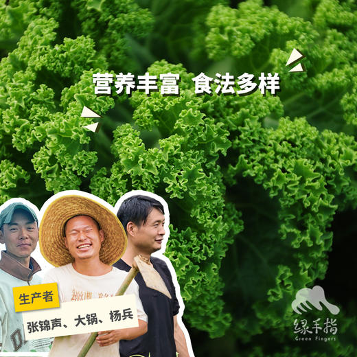 生态羽衣甘蓝 | 绿家自产*ecological curly kale | Self-production 商品图0