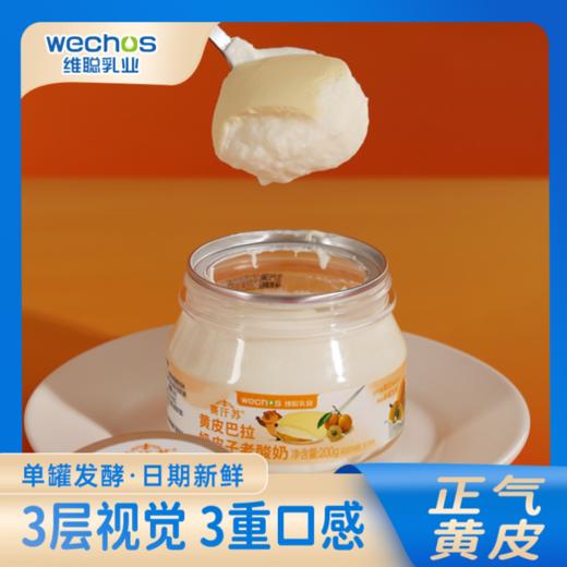 内蒙维聪 黄皮巴拉奶皮子老酸奶 200g*8罐 商品图3