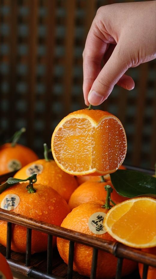 象山红美人 商品图4