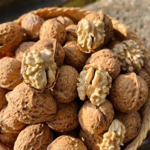 云南老树有机核桃 3斤礼盒装   A-5584 商品图7