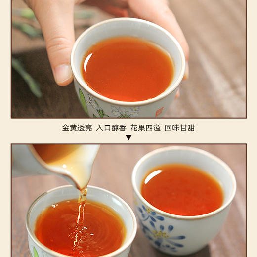 素言茶坊~茗茶物语正山小种250克 商品图3
