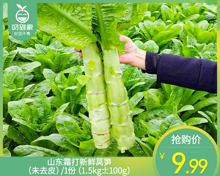 山东霜打新鲜莴笋（未去皮）/1份（1.5kg±100g）