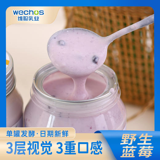 内蒙维聪  野生蓝莓奶皮子老酸奶 200g*8罐 商品图3