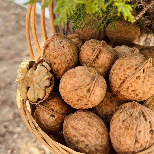 云南老树有机核桃 3斤礼盒装   A-5584 商品图11