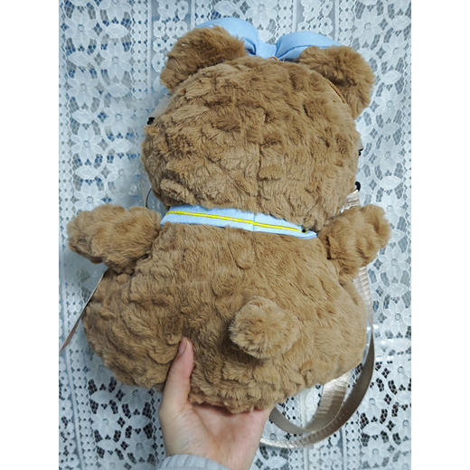 25cm小熊斜跨包新款生日礼物创意毛绒玩偶双肩包毛绒包-纪念日百货门店同款167745653 商品图3