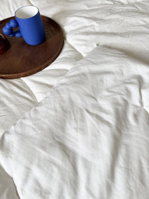 日单MU&JI抗菌除螨恒温纤维被 商品图4