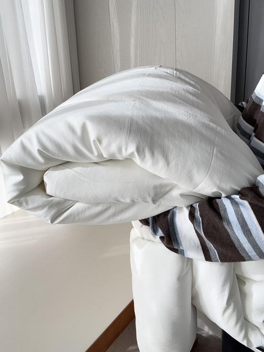 日单MU&JI抗菌除螨恒温纤维被 商品图7