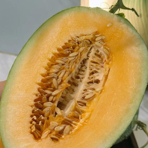 【金祥绿瑞蜜瓜双拼 】汁水丰盈，皮薄肉细，瓜香四溢 商品图3