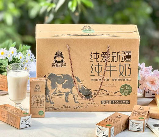 新疆巴音楼兰 纯牛奶 商品图0