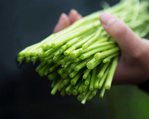 四川新鲜芦蒿/1份（约200g） 商品图1