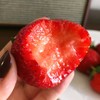 【果蔬精选】辽宁•丹东草莓第⑤季 草莓中的红颜美人 鲜红如火 果肉细嫩 汁水四溢 香味浓郁 现摘现发 新鲜到家 商品缩略图5