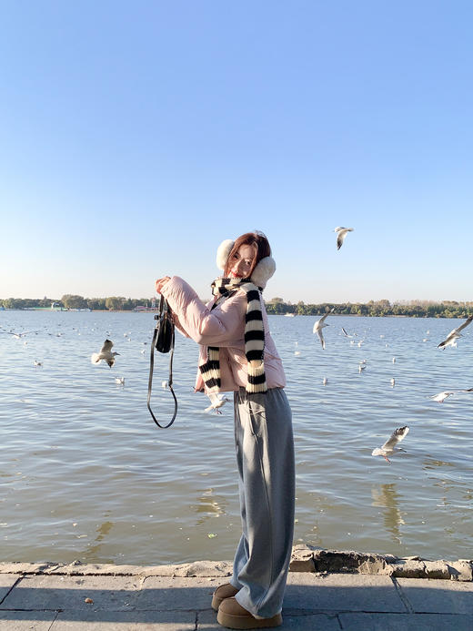 <曾小咸推荐> 现货秒杀！微信超特价！90%白鸭绒立领羽绒服外套 日常629.99 立减260 秒杀369.99！小狗印花长袖t恤  秒杀69.99！ 商品图9