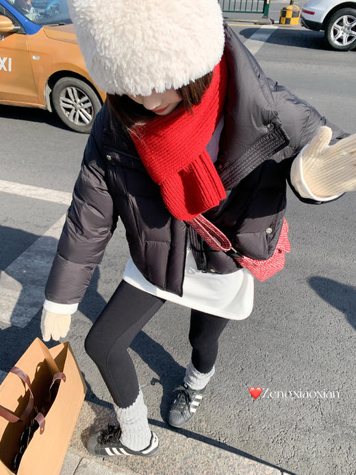 <曾小咸推荐> 现货秒杀！微信超特价！90%白鸭绒立领羽绒服外套 日常629.99 立减260 秒杀369.99！小狗印花长袖t恤  秒杀69.99！ 商品图14