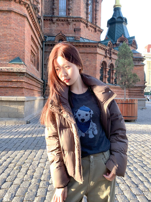 <曾小咸推荐> 现货秒杀！微信超特价！90%白鸭绒立领羽绒服外套 日常629.99 立减260 秒杀369.99！小狗印花长袖t恤  秒杀69.99！ 商品图11