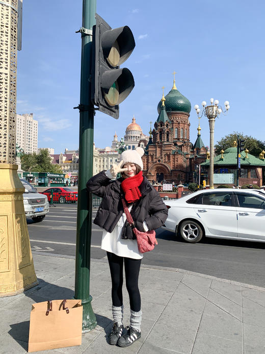 <曾小咸推荐> 现货秒杀！微信超特价！90%白鸭绒立领羽绒服外套 日常629.99 立减260 秒杀369.99！小狗印花长袖t恤  秒杀69.99！ 商品图5