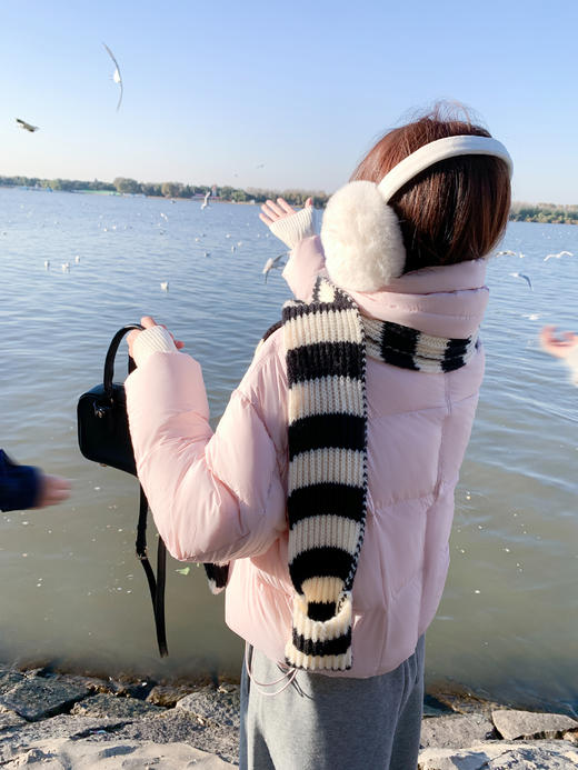 <曾小咸推荐> 现货秒杀！微信超特价！90%白鸭绒立领羽绒服外套 日常629.99 立减260 秒杀369.99！小狗印花长袖t恤  秒杀69.99！ 商品图8