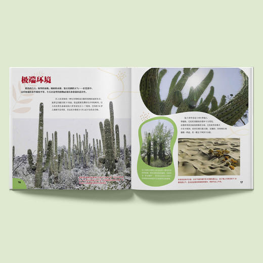 《绿色星球》（全5册） 商品图1