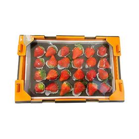 久久草莓（件）约850g