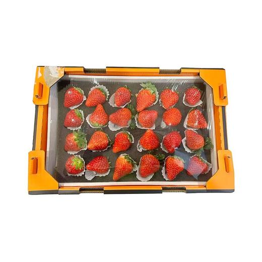 久久草莓（件）约850g 商品图0