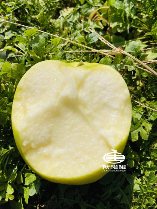 瑞雪苹果 一口吃出百花香 一款可以超越王林苹果  遇见瑞雪 兆丰年 喜事连连！ YD5370273 商品图0