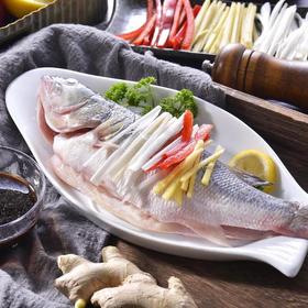 清蒸鲈鱼  约450g/份