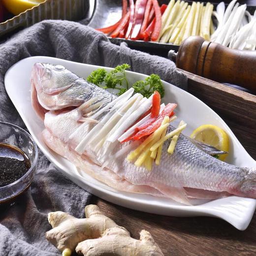 清蒸鲈鱼  约450g/份 商品图0