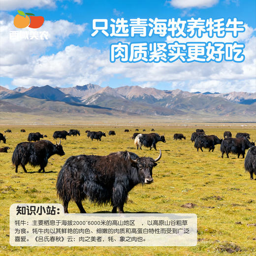 西域美农  牦牛肉鲜肉  牛腩   顺丰发货 商品图2
