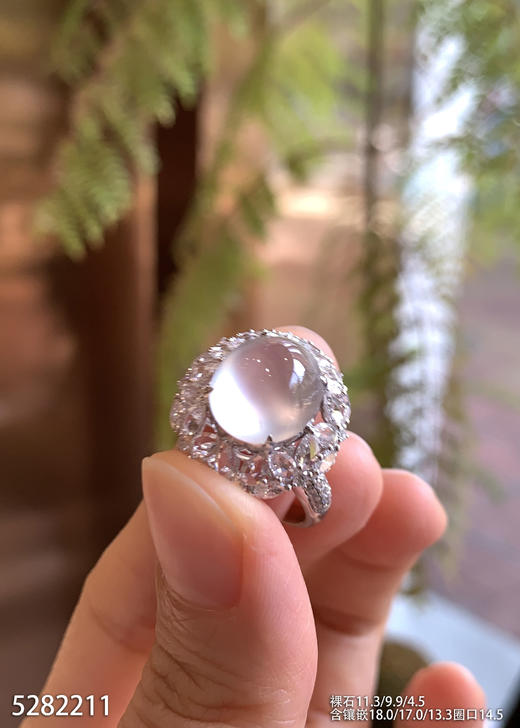 5282211，蛋面戒指。具体价格微信咨询 商品图0