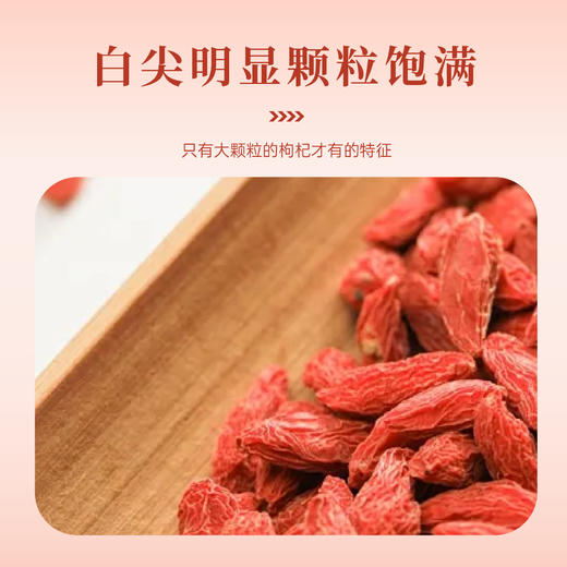 东篱下枸杞子135g 商品图3