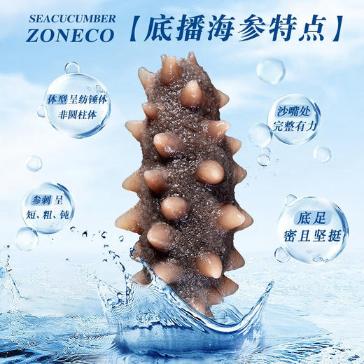 [獐子岛] 参冬冬 即食海参( 500g/盒、1200g/盒) 商品图5